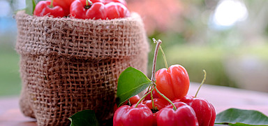 Аcerolа Sweet: veselība ar ķiršu garšu