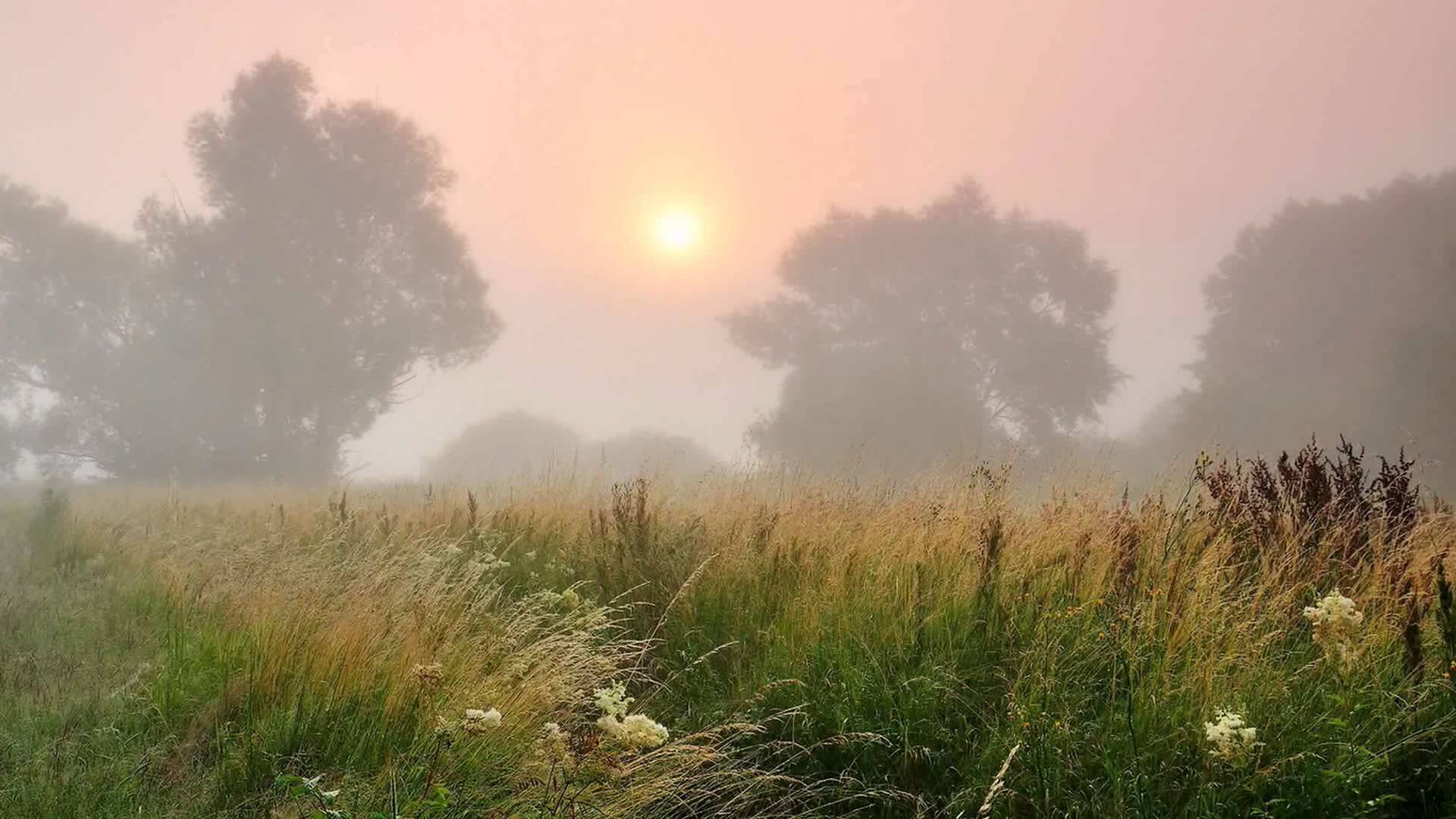 Фотография Раннего Утра