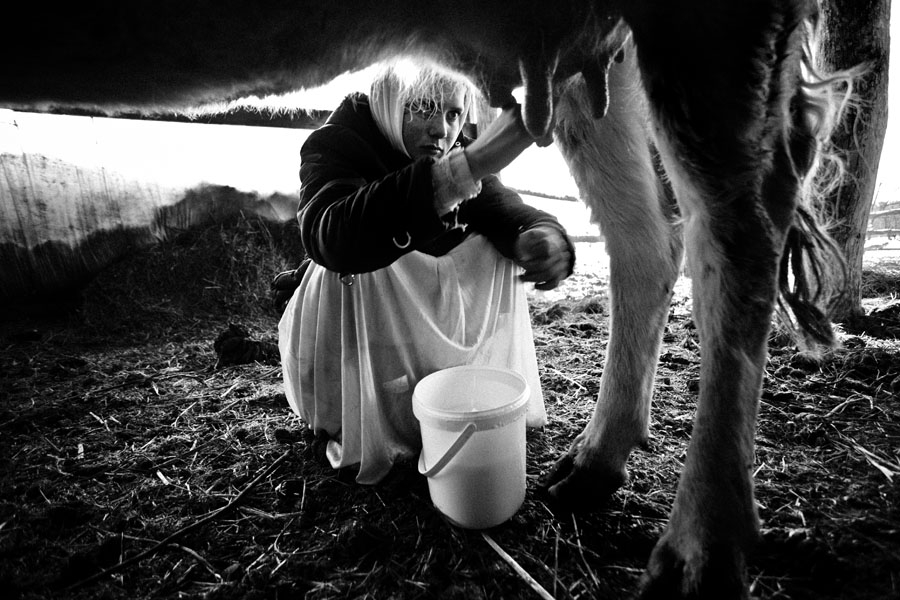 В Мордовии в селе есть всё, чтобы раскрыться: женщина рулит трактором, мужчина доит коров