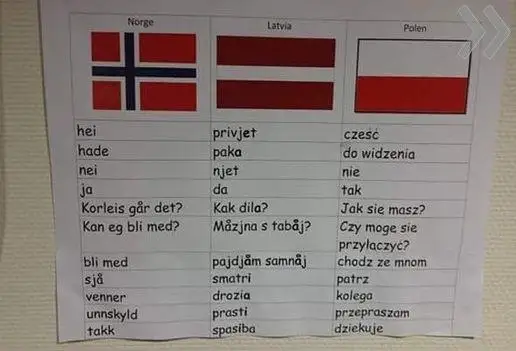 Как легко выучить новый язык: лингвист Петров (ЛЕКЦИЯ)