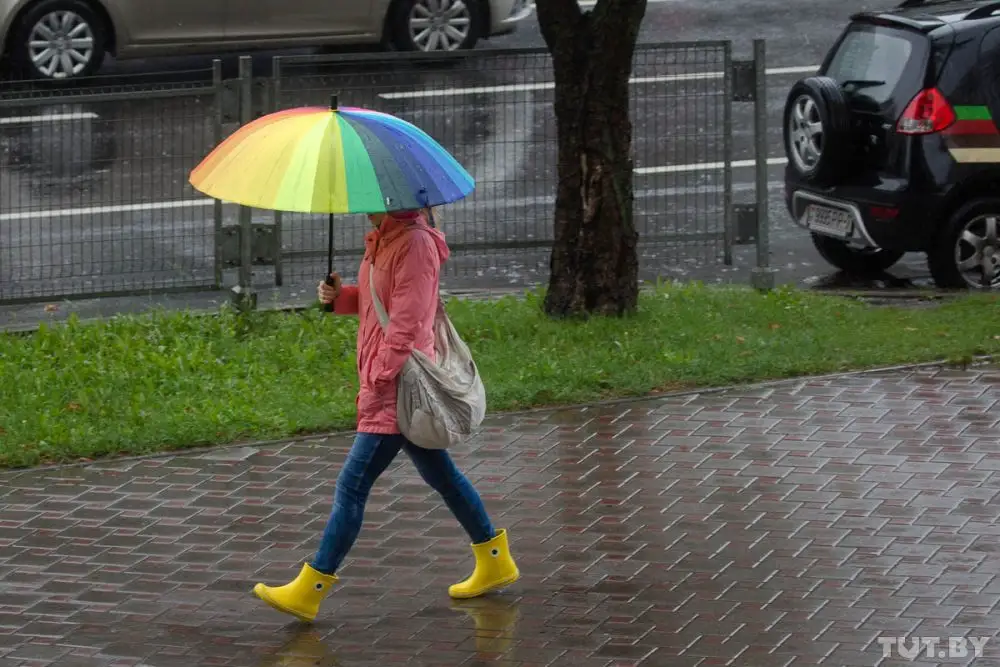 Naktī uz sestdienu Kurzemē gaidāms lietus, dienā līs arī citviet valstī