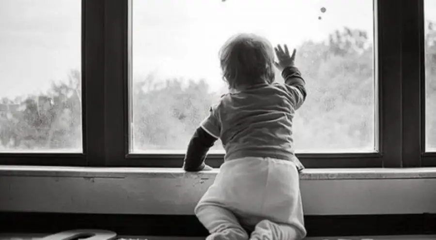 Собака принесла тело мертвого младенца: полиция Эстонии ведет поиски матери