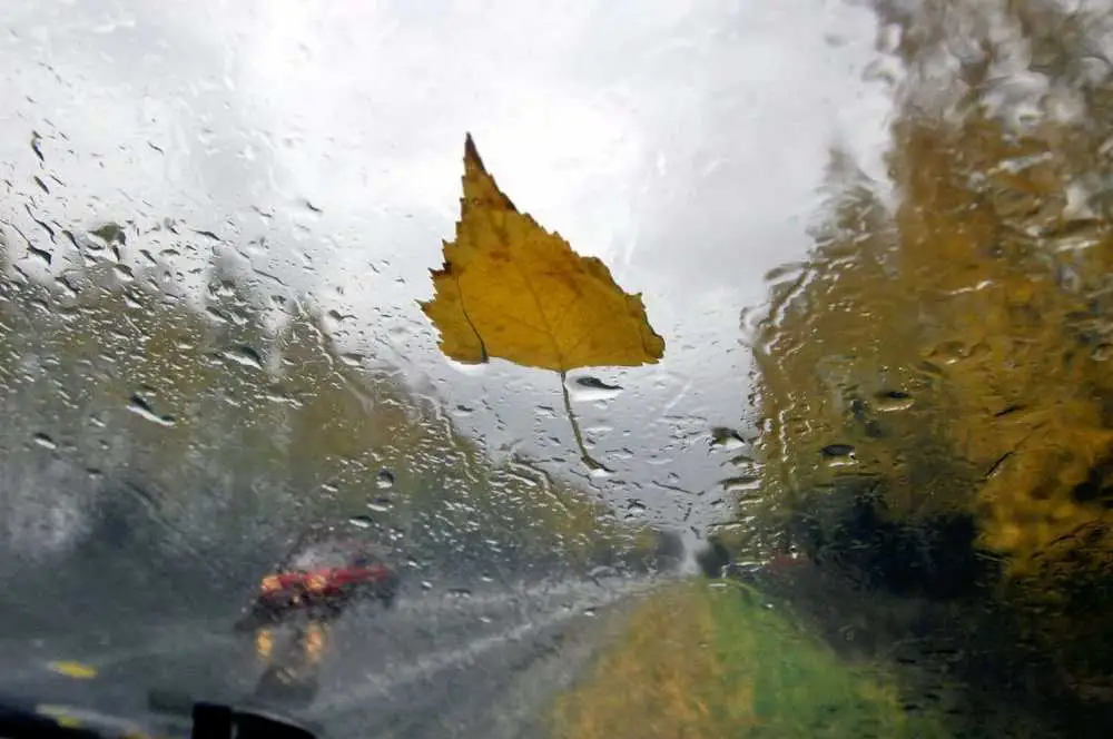 Otrdiena būs ne vien silta, bet daudzviet arī mitra