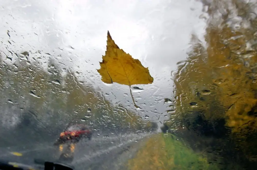 Pirmdien daudzviet gaidāms neliels lietus, gaisa temperatūra nepārsniegs +17 grādus