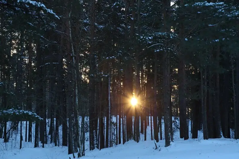 Sestdiena Latvijā gaidāma saulaina