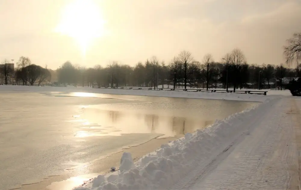 Nedēļas nogalē gaidāms atkusnis, nokrišņi un brāzmains vējš