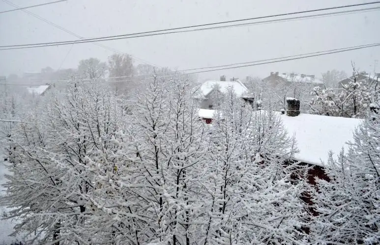 Dažviet Kurzemē gaisa temperatūra noslīdējusi līdz -19 grādiem