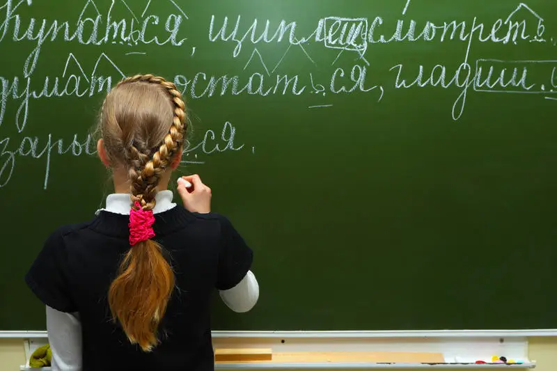 «Всем будет лучше без школ для русского меньшинства». Литовский министр ищет законный способ закрыть школы