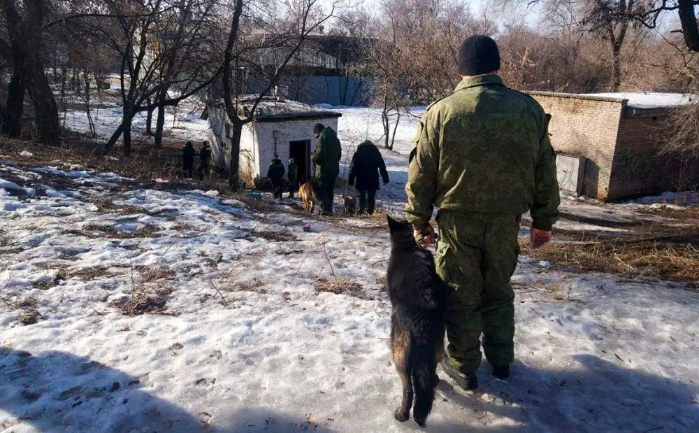 В Донецке взорвали экс-главу колонии в Еленовке