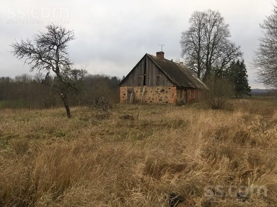 «Они этого не заслужили»: соседи об убийстве двух глубоких стариков под Талси