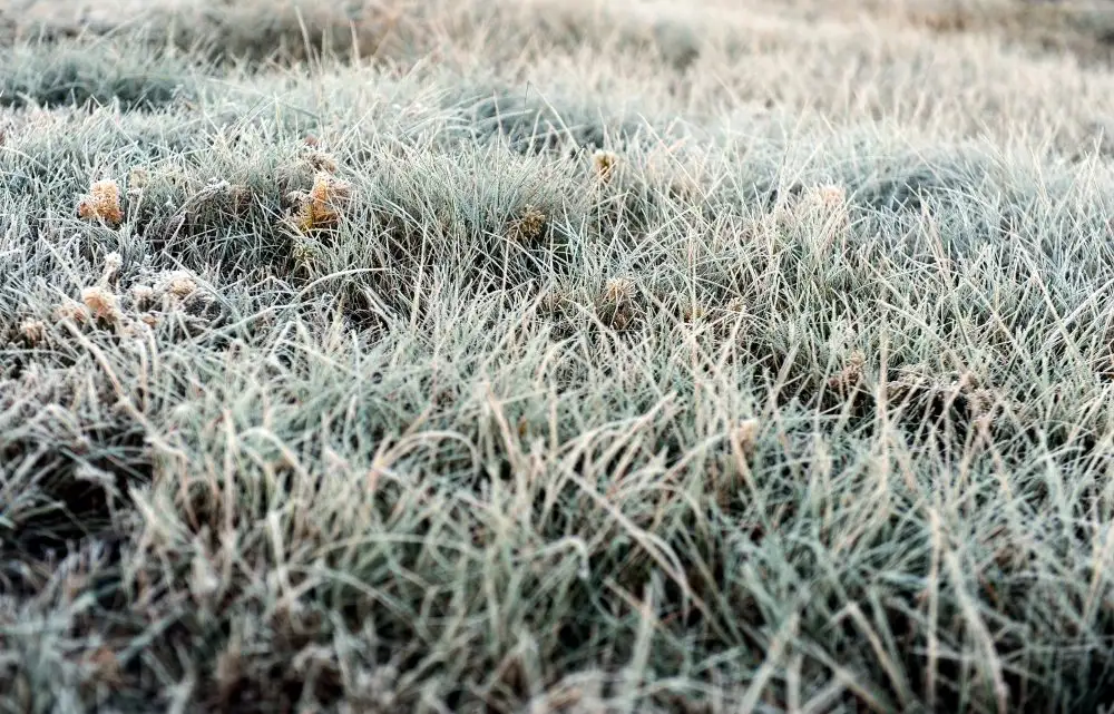 Naktī valsts lielākajā daļā gaisa temperatūra noslīdēs zem nulles