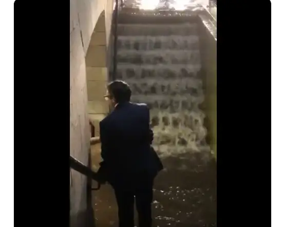 Мужчина в костюме побоялся замараться и залез на женщину (видео)