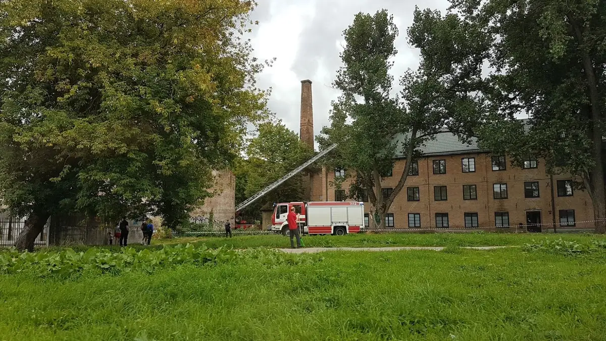ЧП в Ильгюциемсе: на здание упало дерево. ФОТО