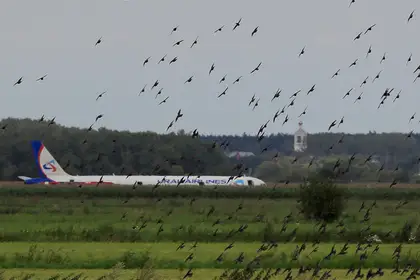 Самолет из Санкт-Петербурга совершил экстренную посадку: снова птицы