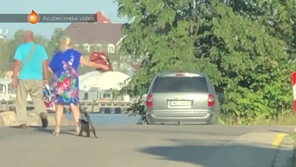 Ударила сумкой и подвесила на поводке: очевидцы засняли, как женщина мучила кошку