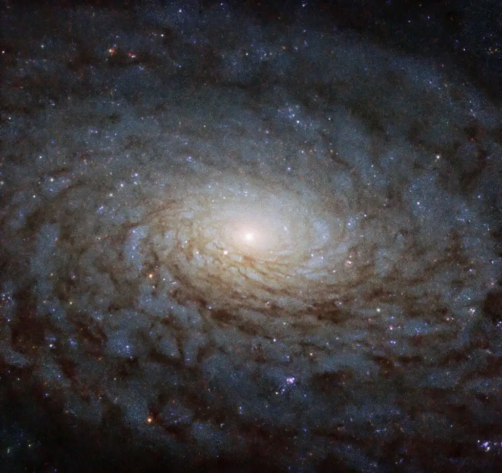Есть ли рыба на Уране? На лунах планеты могут быть условия для жизни