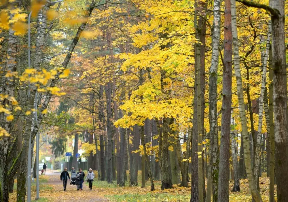 Sākot no valsts rietumiem, otrdien spīdēs saule