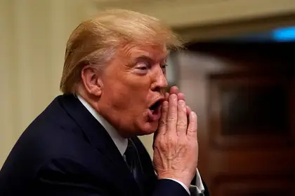 Если бы Трамп хотел распустить НАТО, его победа была бы для нас катастрофой: «Неаткарига» о завтрашних выборах в США
