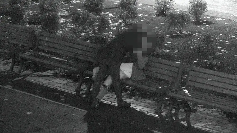 И не замерзли: парочка занялась сексом в рижском парке (ВИДЕО)