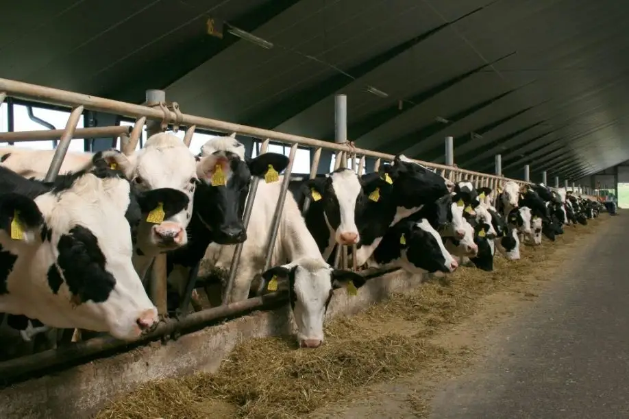 «Siguldas CMAS» apgrozījums deviņos mēnešos pieaudzis par 6,3%
