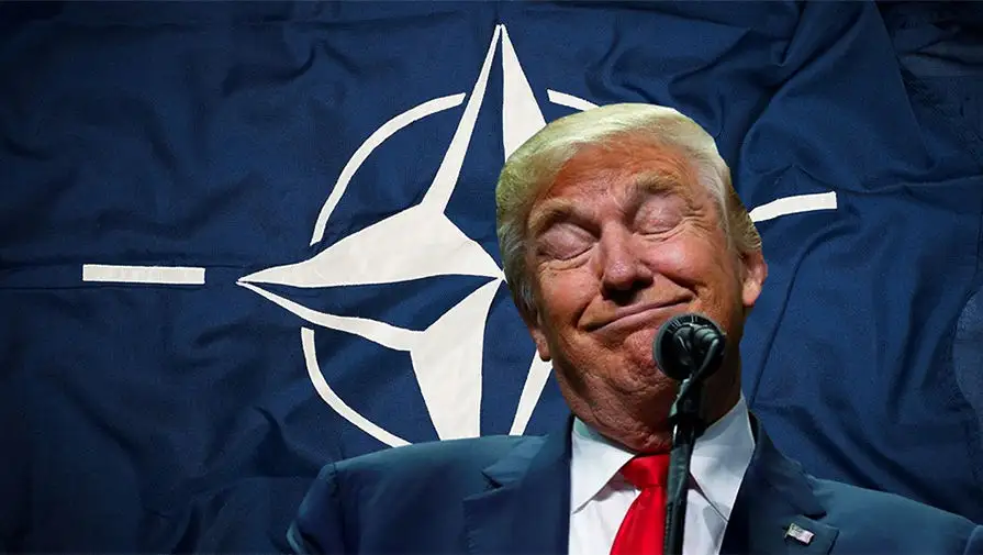 НАТО без США? Генерал призывает страны Европы быть готовыми восполнить любые «пробелы»