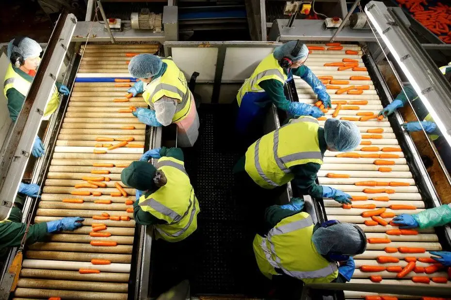 Reģistrētā bezdarba līmenis Latvijā jūnija beigās pieaudzis līdz 5%