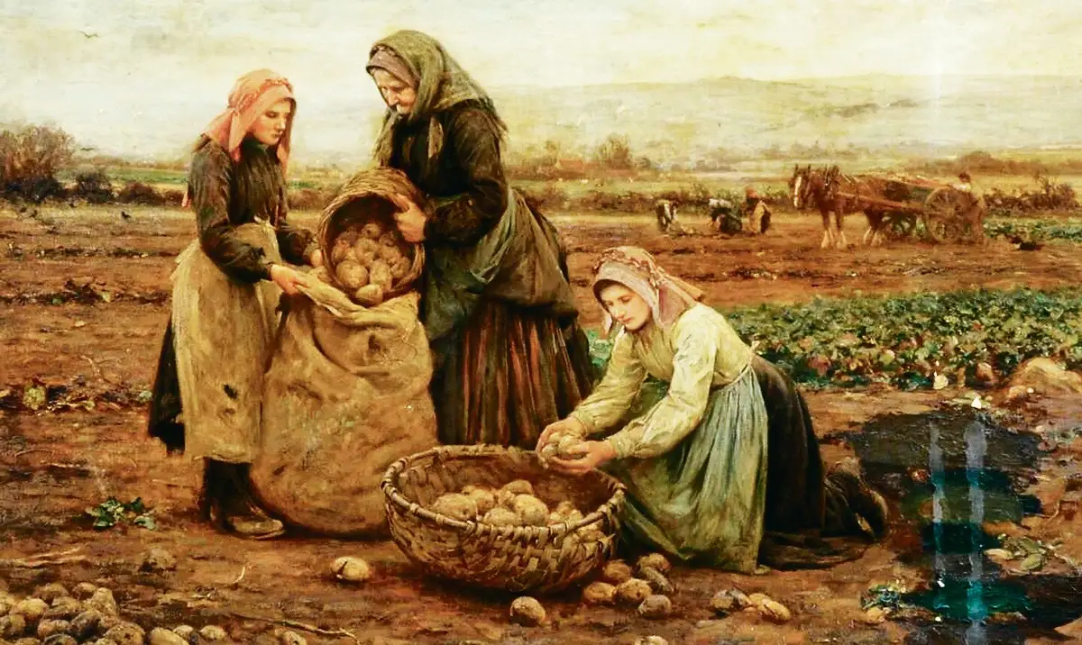 Картофель — яд, как и томат: что наши предки думали о современных продуктах