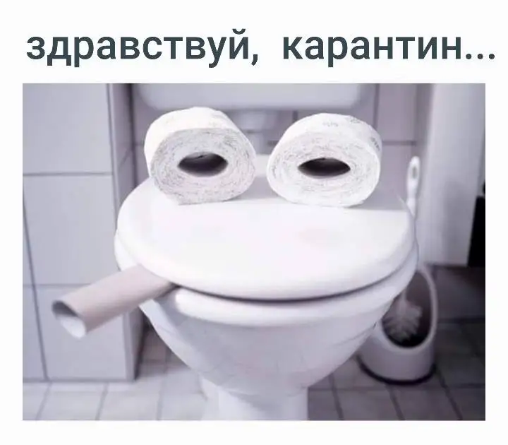 Туалетная бумага: не знаете, куда девать запасы? Несколько весёлых лайфхаков (ФОТО)