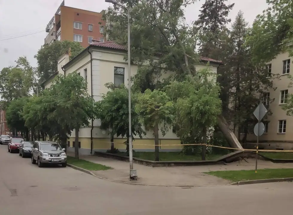Нарочно не придумаешь: на здание лесничества в Даугавпилсе упало дерево (фото)