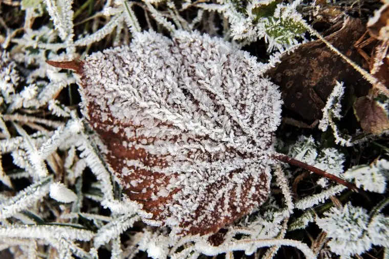 Nākamnedēļ gaidāmas stipras vēja brāzmas un temperatūras pazemināšanās