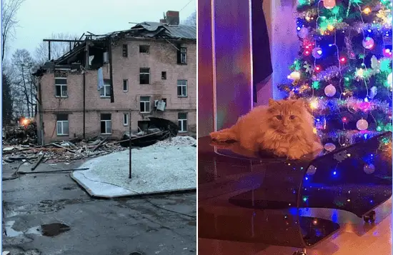 Семья из взорвавшегося в Агенскалнсе дома больше всего переживает из-за пропавшего кота: помогите его найти
