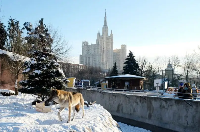 Сонное царство и находится оно в самом центре огромной Москвы, на Красной Пресне