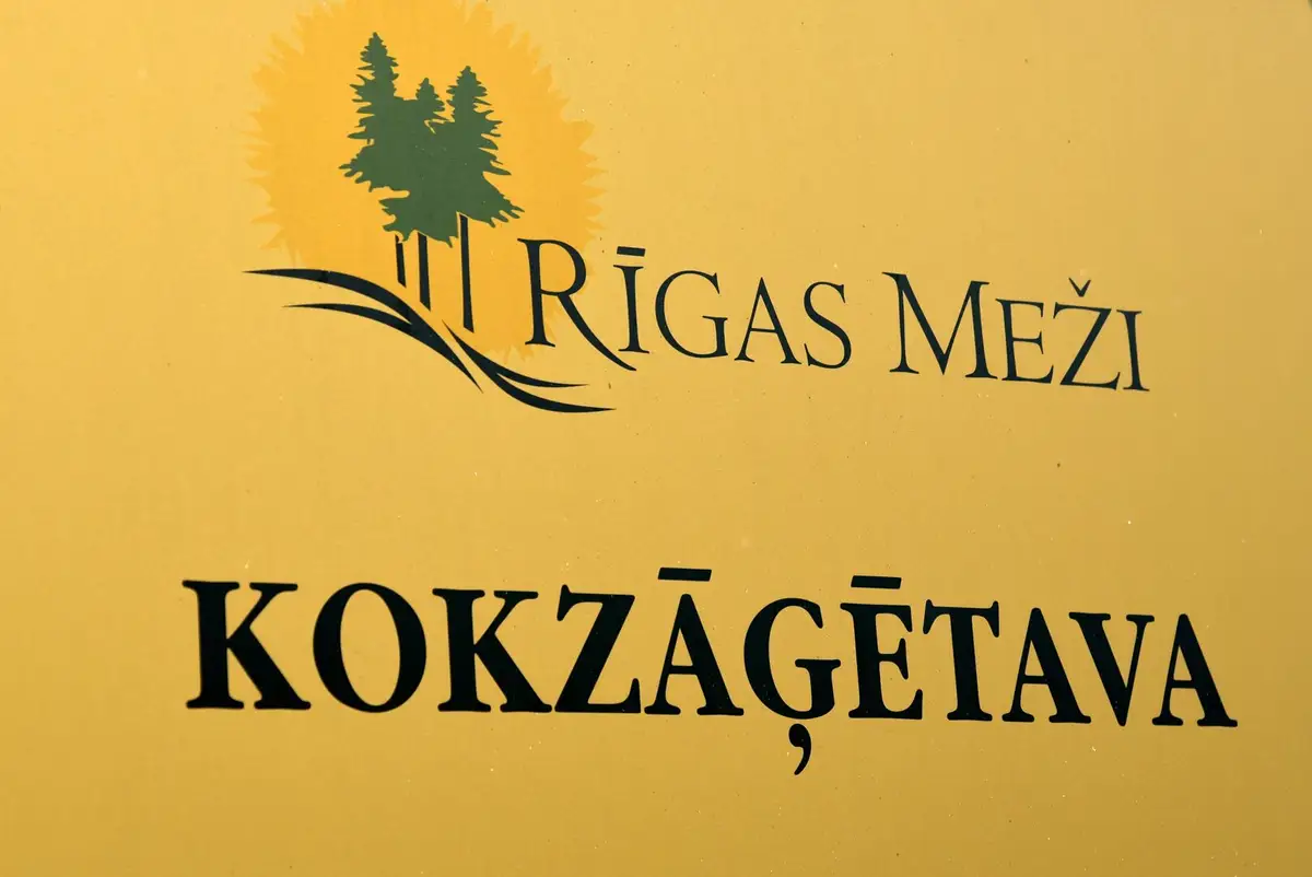 «Rīgas meži» atsāks mežizstrādi Juglas mežniecībā pie Juglas papīrfabrikas ciemata