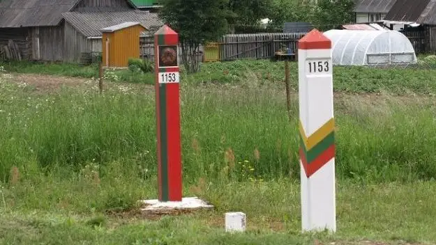 Гибридные атаки Белоруссии были ответом; Литве нужно быть более сдержанной: евродепутат