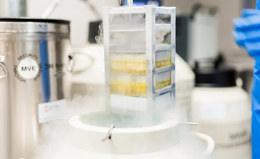 Cilmes šūnu saglabāšana – unikāla iespēja izveidot bioloģisko apdrošināšanu visai ģimenei