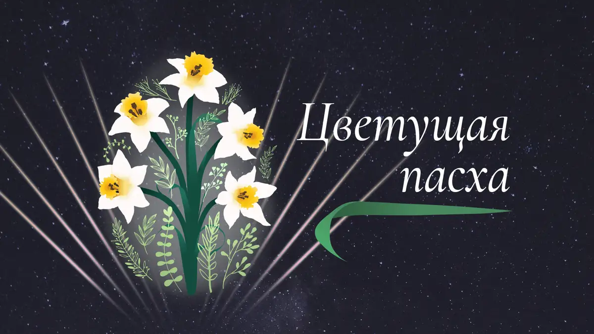 Цветущая Пасха. В Друскининкай пробуждается поле нарциссов, пасхальное дерево уже цветет