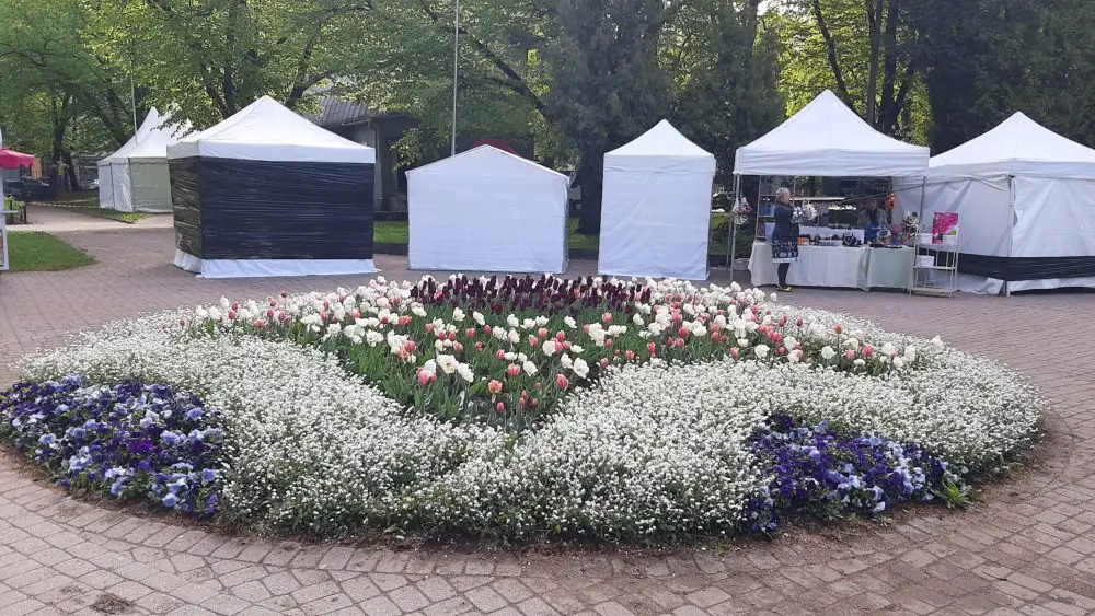 Концерты по четвергам будут проходить в Верманском саду