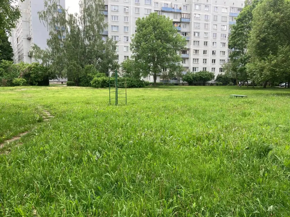 Траву не косят: можно ли наказывать владельца земли?