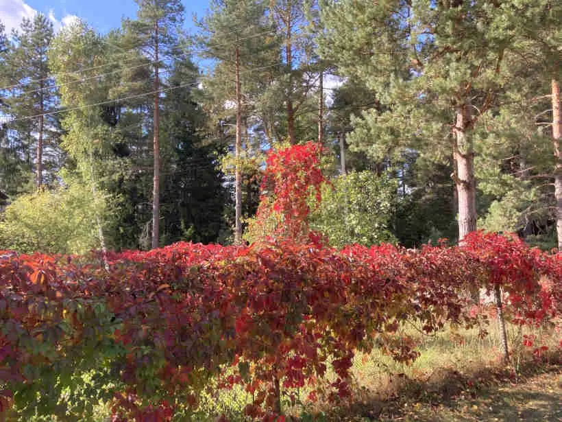 Brīvdienas sāksies ar sausu un vasarīgi siltu laiku
