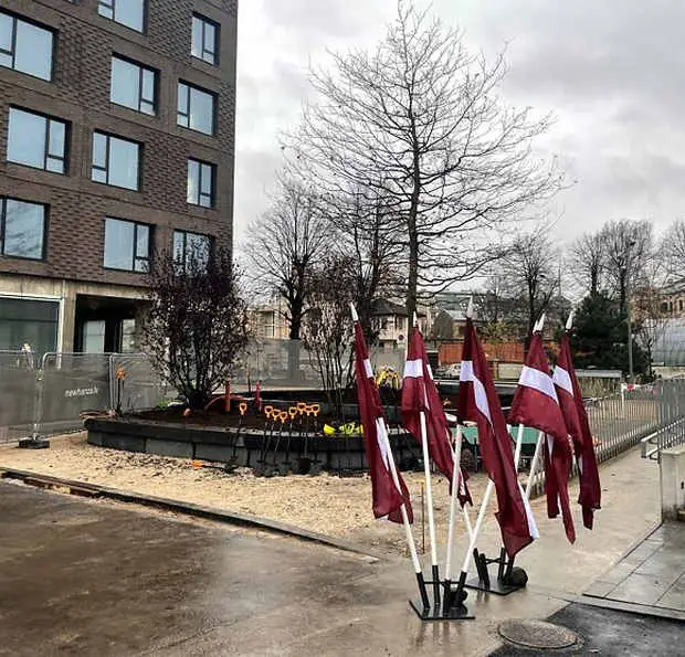 «New Hanza» teritorijā iestādīts liela izmēra ozols