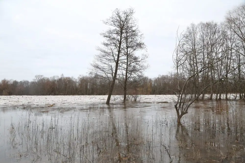 На востоке Латвии уровень воды в реках продолжит подниматься; объявлено желтое предупреждение