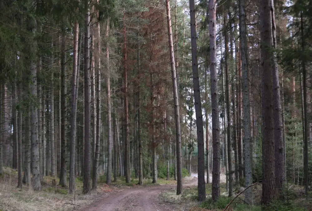 Ceturtdien vietām gaidāmi nelieli nokrišņi