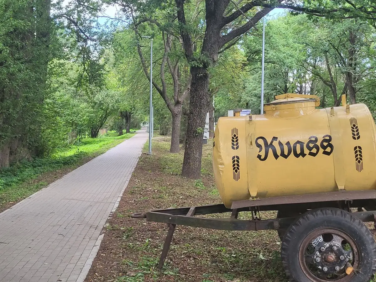 Не купить даже безалкогольные напитки: абсурд новых правил вызывает возмущение