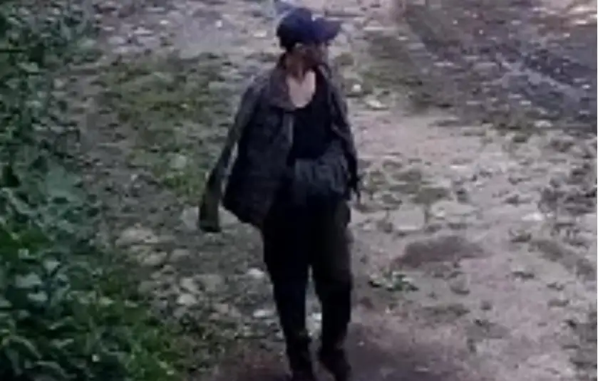 Дело бежавшего из полицейской машины Цесманиса суд рассмотрит в конце ноября