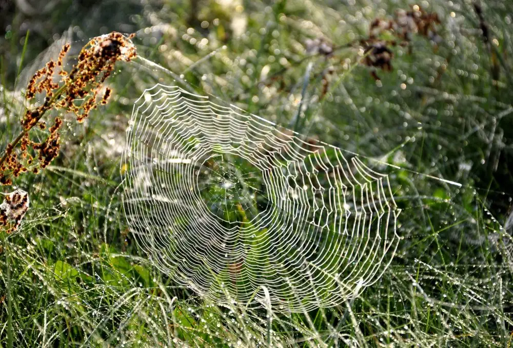 Svētdien uzspīdēs saule un valsts lielākajā daļā nelīs