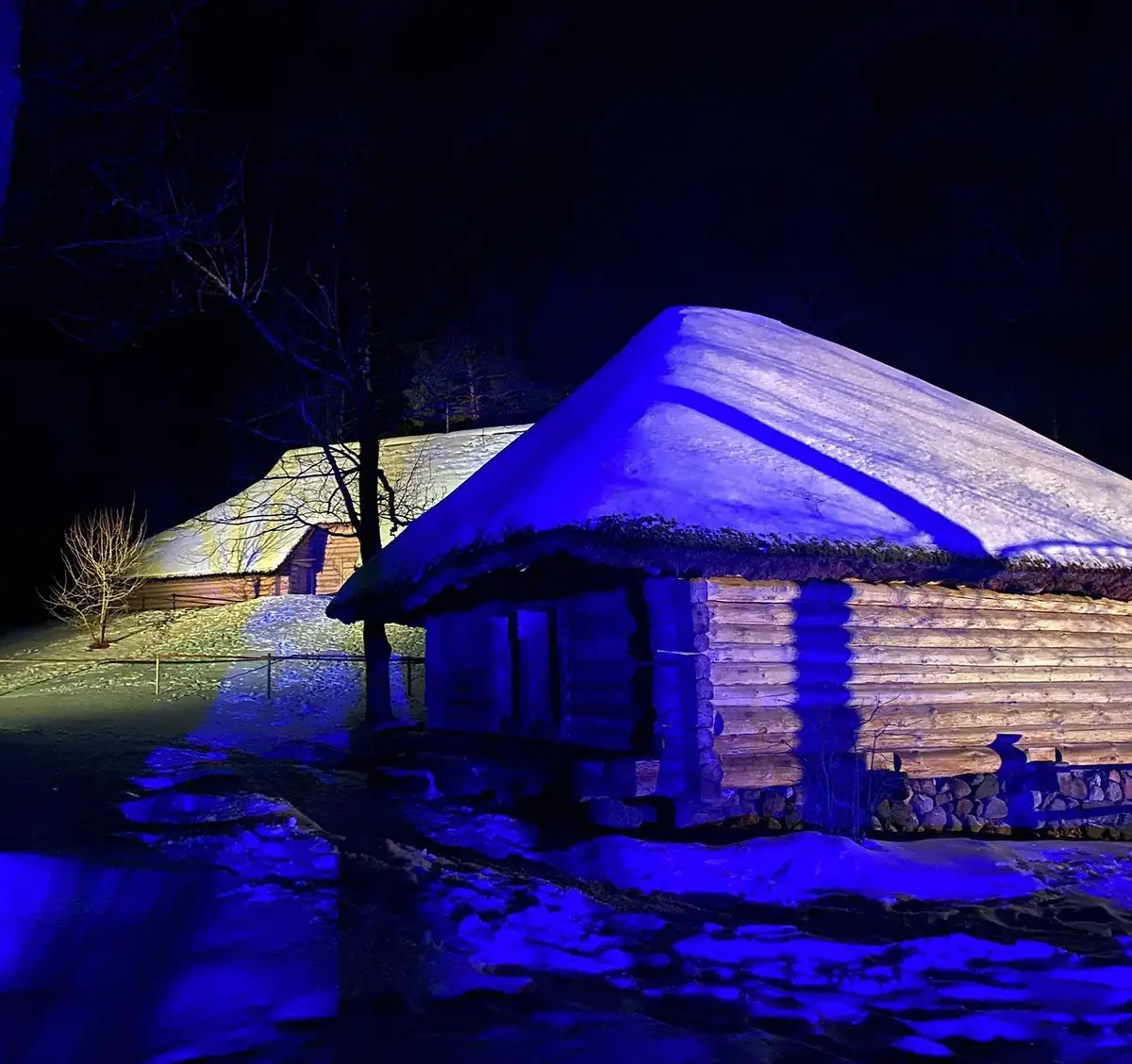 Decembrī Brīvdabas muzejā varēs apmeklēt gaismas instalāciju pastaigu taku «Ziemas gaismas dārzs»