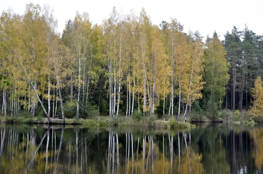No pirmdienas gaidāmi nokrišņi