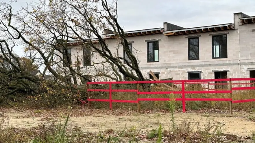 Mārupes dižozola krimināllietu pret bijušo būvvaldes vadītāju sāks iztiesāt vasaras sākumā