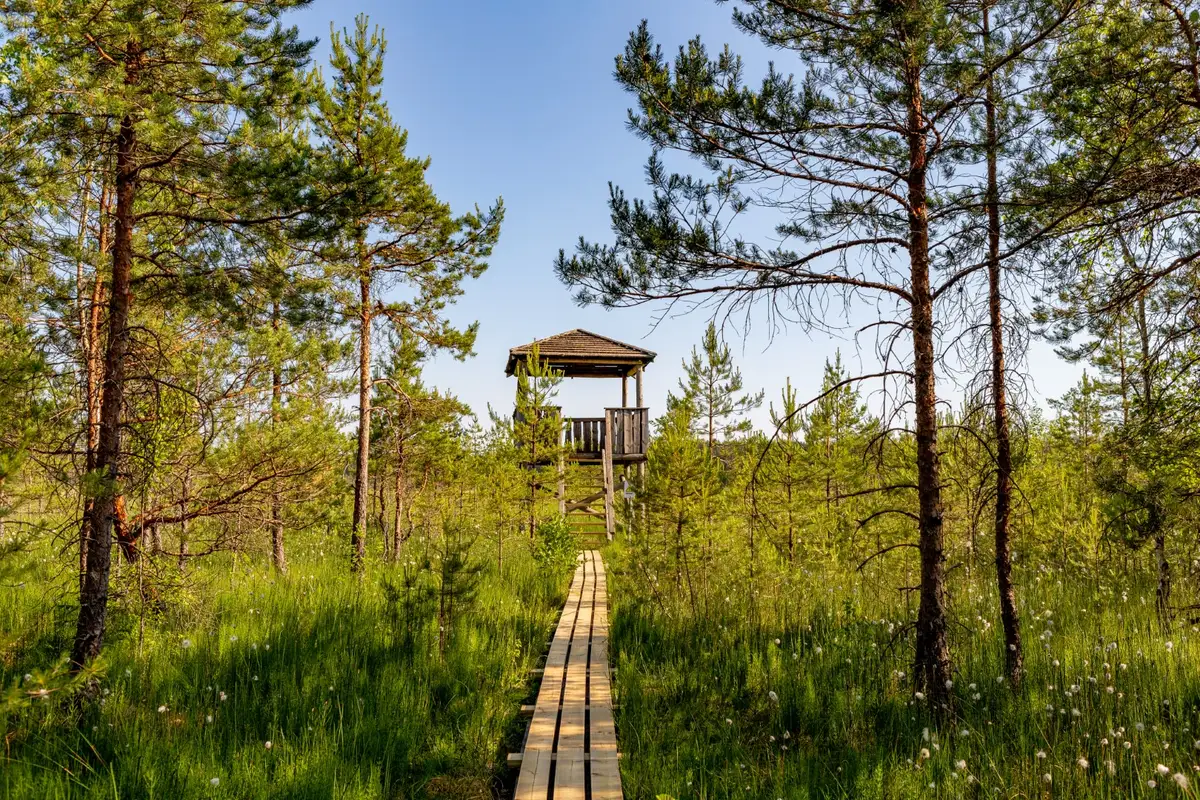 Latvijas dabas takas iekļautas «Lonely Planet» nākamā gada ceļvedī