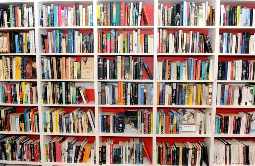 Правительство одобрило: в Латвию будет запрещено ввозить книги, игры и прессу из России и Белоруссии